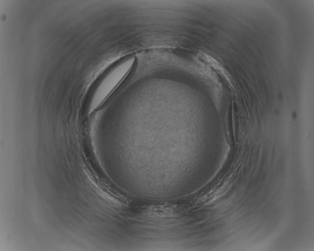 X0000067480627200604071139