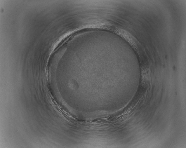 X0000067480628200604071139