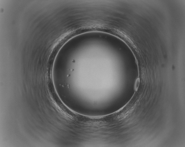 X0000067480629200604071139