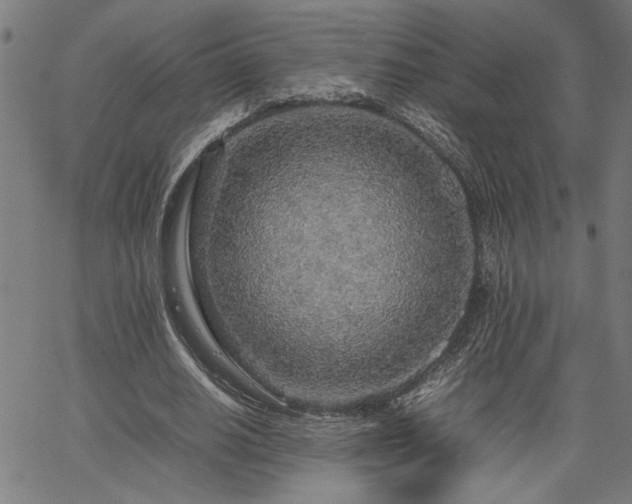 X0000067480630200604071140