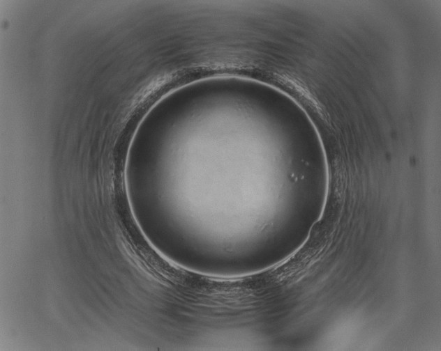 X0000067480631200604071140