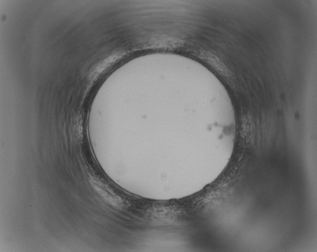 X0000067480632200604071140