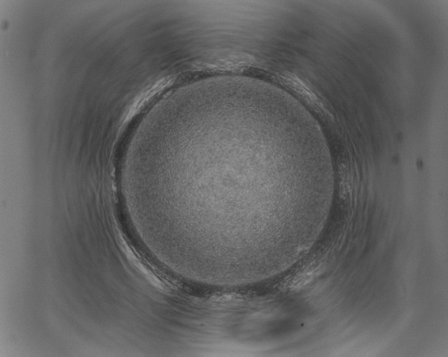 X0000067480634200604071140