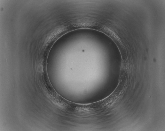 X0000067480635200604071140