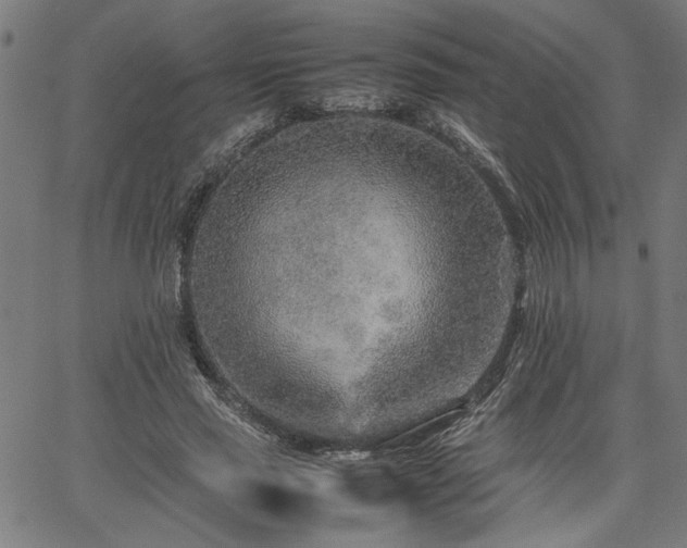 X0000067480637200604071140