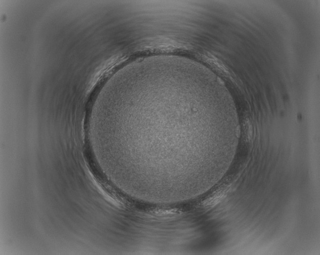 X0000067480638200604071140