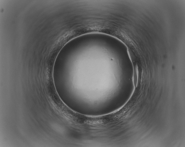 X0000067480639200604071140