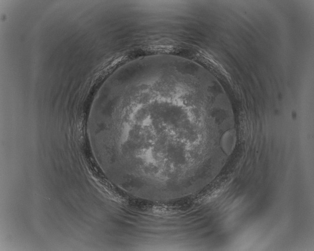 X0000067480641200604071140