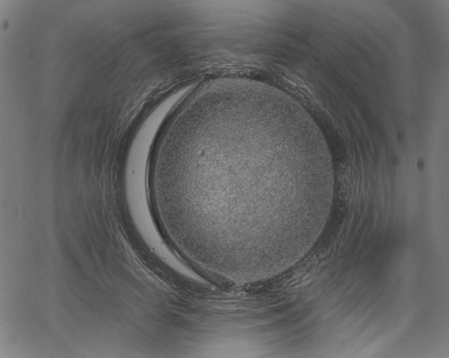 X0000067480642200604071140