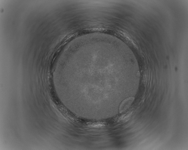 X0000067480643200604071140