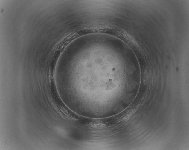 X0000067480644200604071140