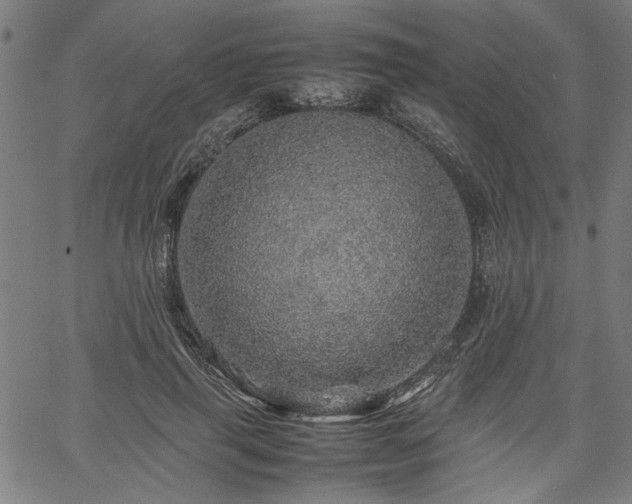 X0000067480645200604071140