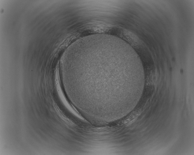 X0000067480646200604071140