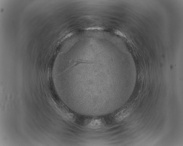 X0000067480647200604071140