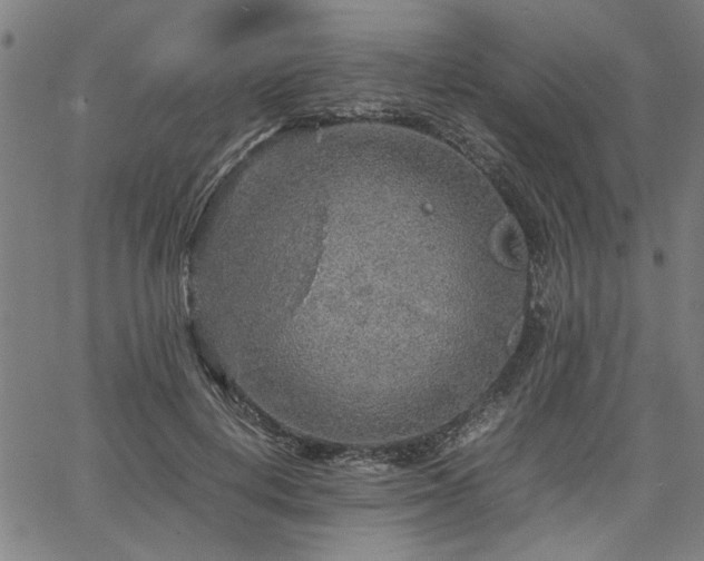 X0000067480648200604071140