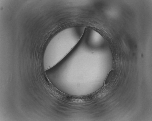 X0000067480649200604071140