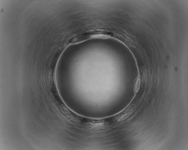 X0000067480651200604071140