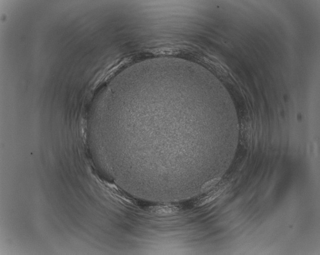 X0000067480652200604071140