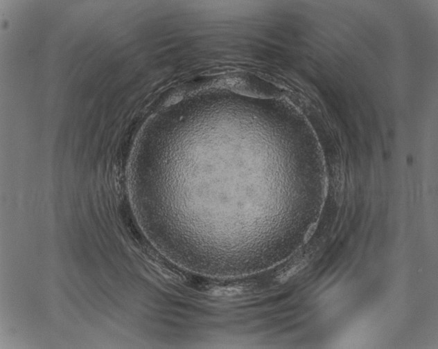 X0000067480653200604071140