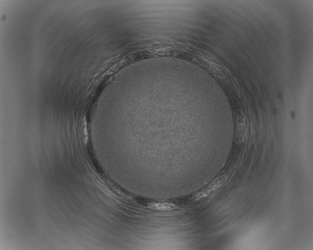 X0000067480654200604071140