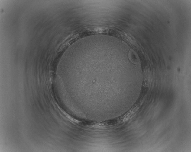 X0000067480656200604071140