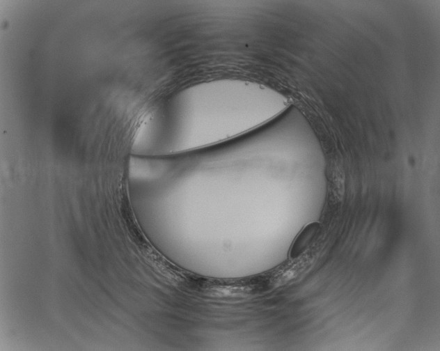 X0000067480657200604071140