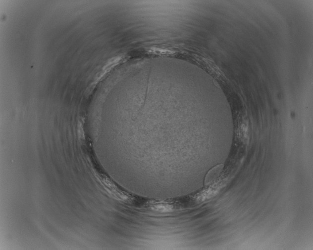 X0000067480658200604071140