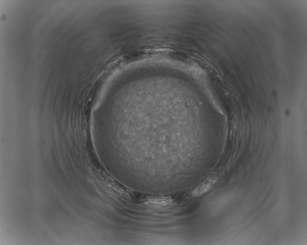 X0000067480659200604071140