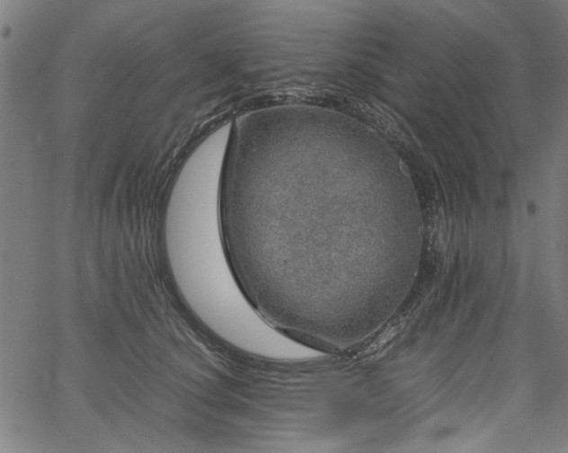 X0000067480660200604071140