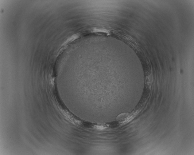 X0000067480662200604071140