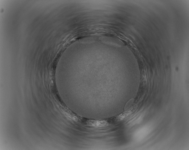 X0000067480663200604071140