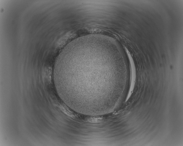 X0000067480664200604071140