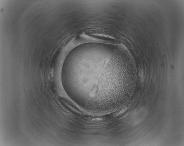 X0000067480665200604071140