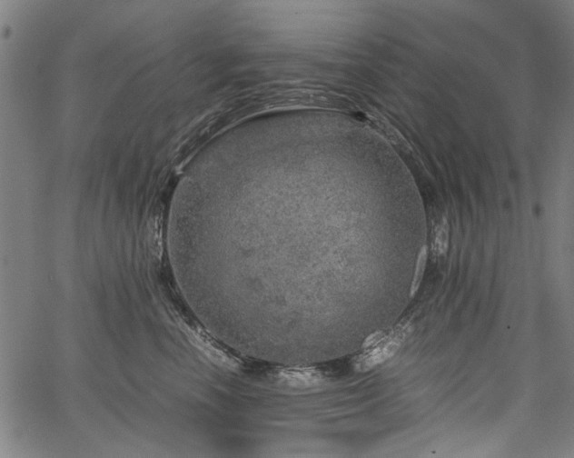 X0000067480666200604071140