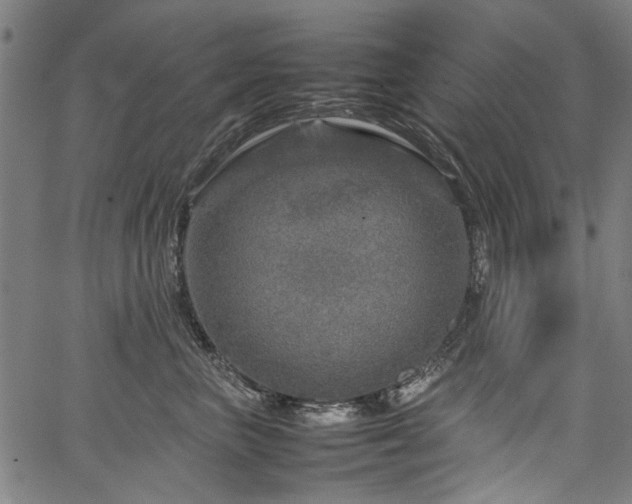 X0000067480667200604071140