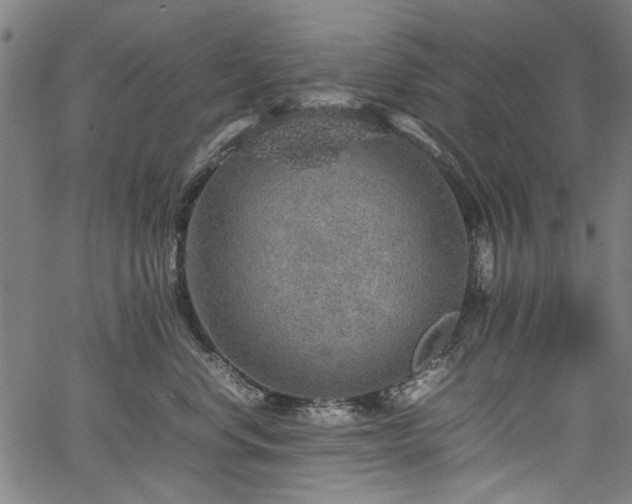 X0000067480668200604071140