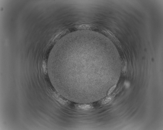 X0000067480669200604071140