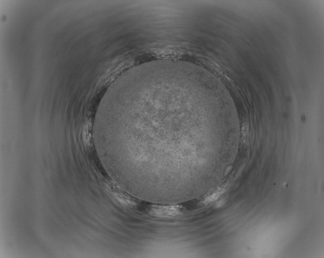 X0000067480671200604071140