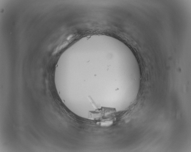 X0000067480672200604071140