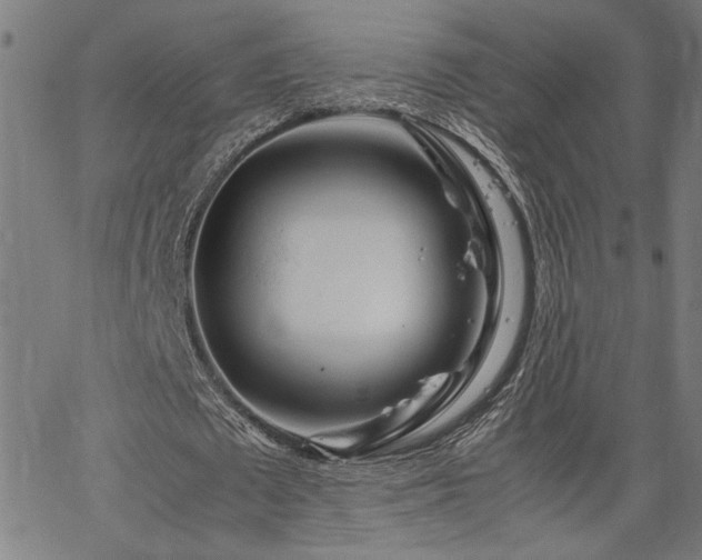 X0000067480673200604071139