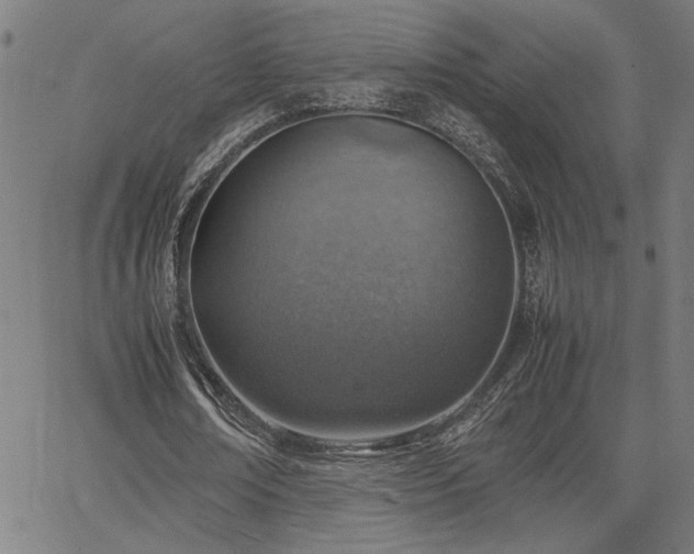 X0000067480674200604071139