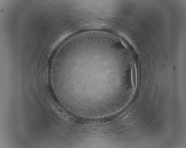 X0000067480675200604071139