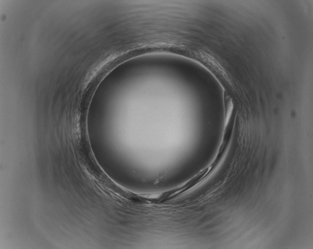 X0000067480676200604071139