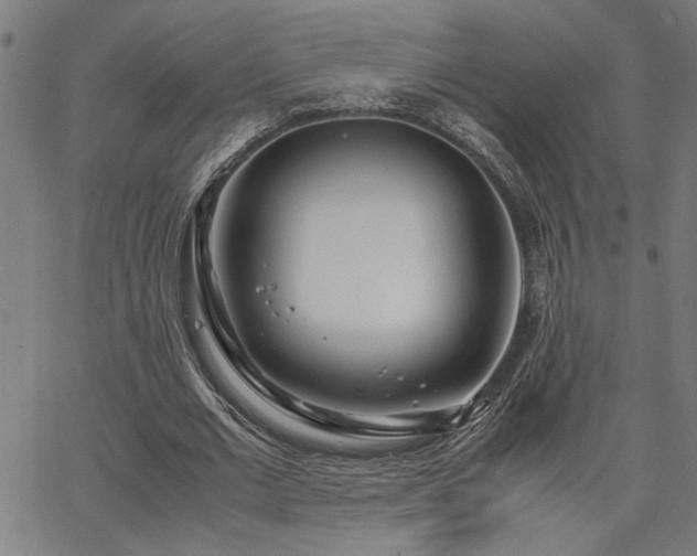 X0000067480677200604071139