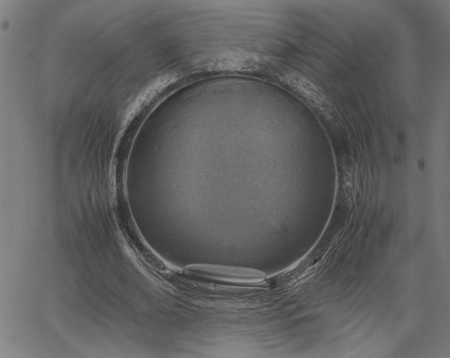 X0000067480678200604071139