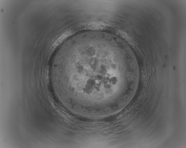 X0000067480679200604071139