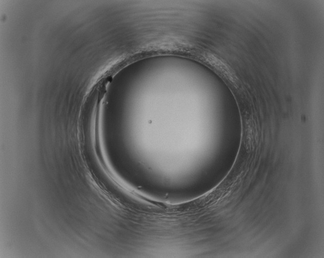 X0000067480680200604071139