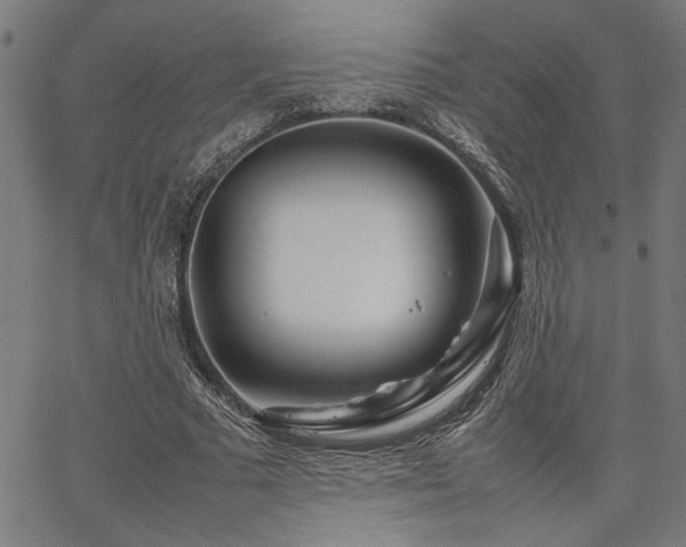 X0000067480681200604071139