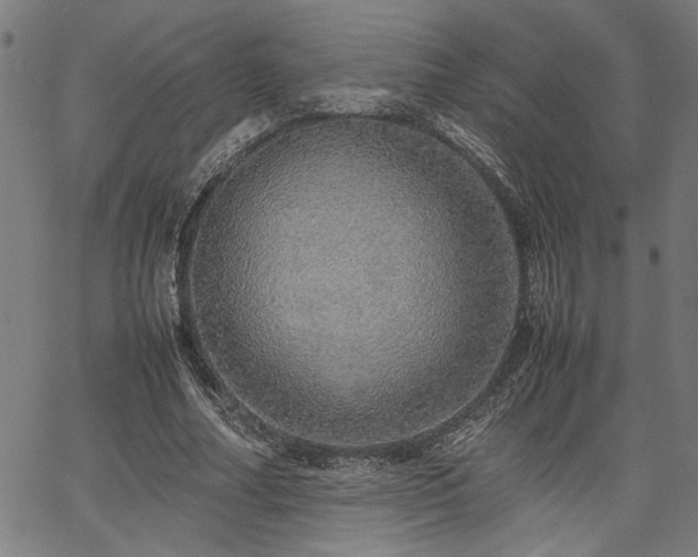 X0000067480682200604071139