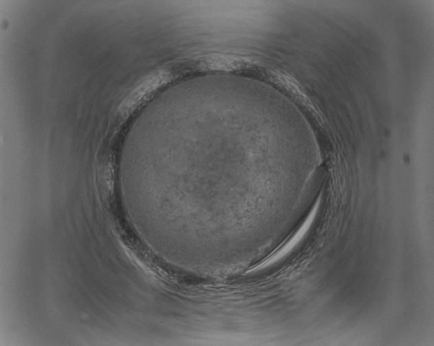 X0000067480683200604071139